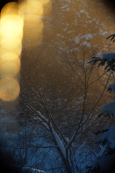 A glimpse of winter sun from our window