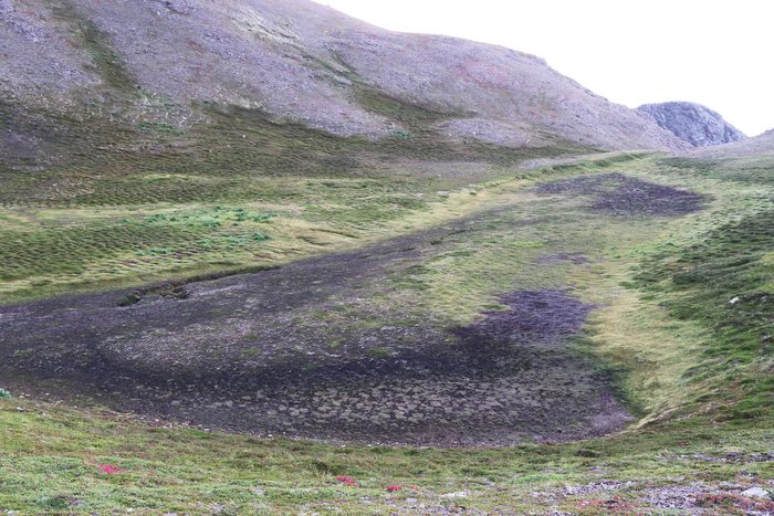 This shallow, drained pond is probably a graben - formed as the bedrock here shifts toward the cliffs above Grewingk Lake just north of here. The crack running along the left (south) edge of the dry pond may be evidence that motion is continuing more quickly, or that ice plugs in the sub-surface have recently melted.