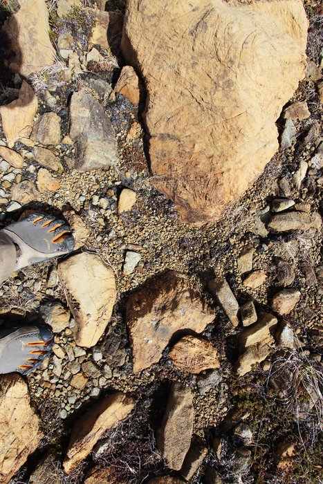 I've not encountered an explanation of how pebbles like this are sorted, but I think it's driven by wind and rain.