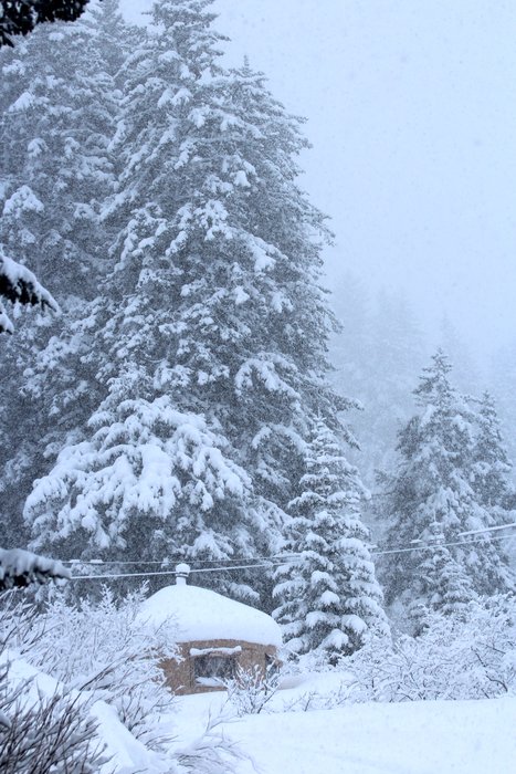 After taking this photo, I shoveled off the roof.  Which I could pretty much reach just by standing on the uphill side.