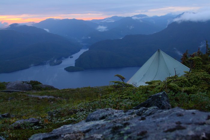 High on a ridge on Princes Royal Island