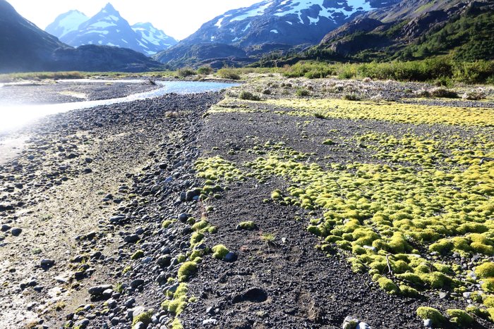 Up in the mountains above Tutka along the river.