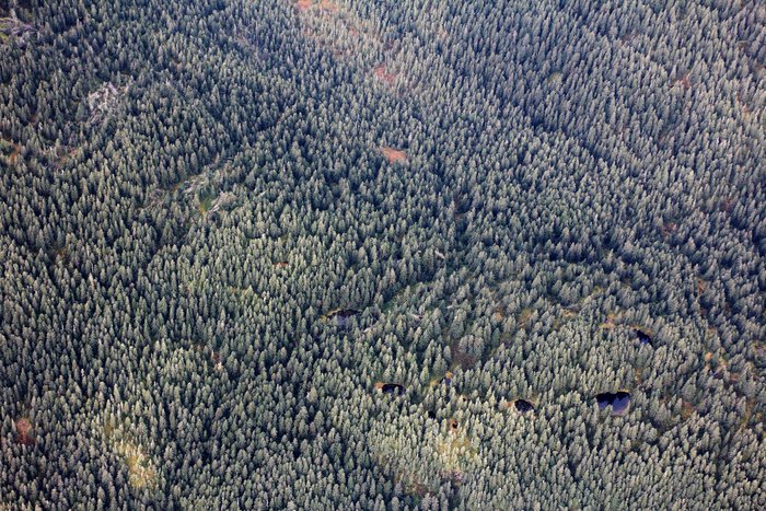 Tiny lakes hidden in remote forest.