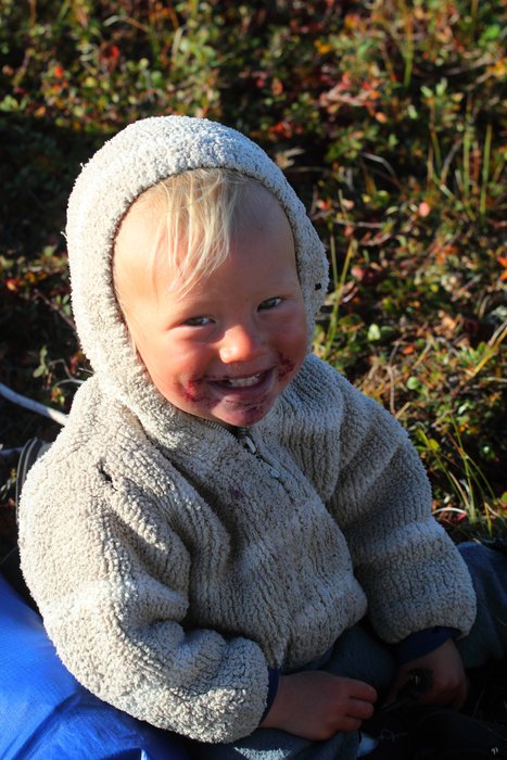 Berries mostly make it in the mouth...