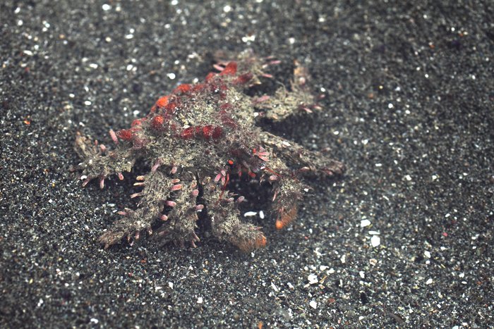 May 2011 low tides at Barabara Creek Beach, Kachemak Bay, Alaska