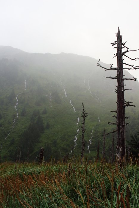 Pouring rain for several days caused every little stream to flood, striping the mountainside with waterfalls.