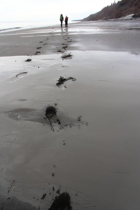 Hig and Erin leave tracks on silt flats, leaving Homer