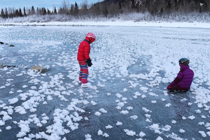 Clumps of frost grow on clear ice near the outlet stream of Grewingk Lake.