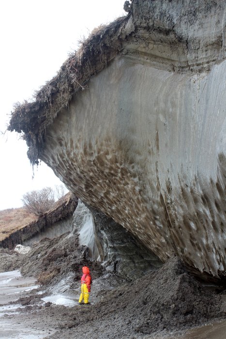 Spring warmth was just starting to melt the ice here.  Within two weeks the shorefast ice was gone, and waves could again bring "warm" ocean water to melt it from the bottom.