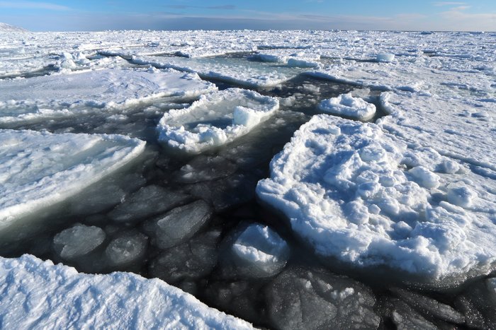 Ice pans with dark water between them