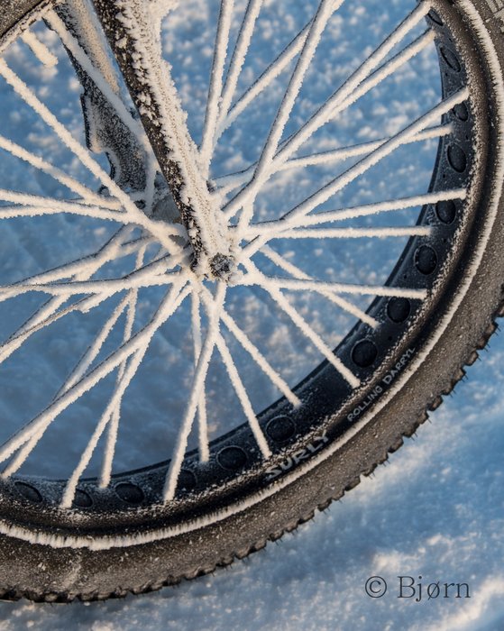 Rime ice coats the spokes on Kim's wheel.