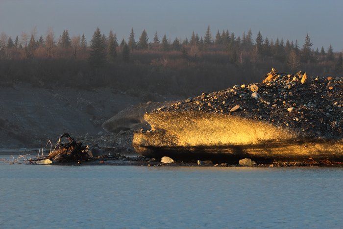 This iceberg is the size of a small office building, and is covered by boulders and broken trees.  In the background you can see the forested ice of Malaspina Glacier that this berg calved off of.