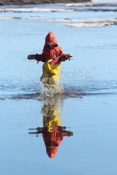 Lituya did not choose to go around the muddy puddles atop sea ice.  That would be boring.