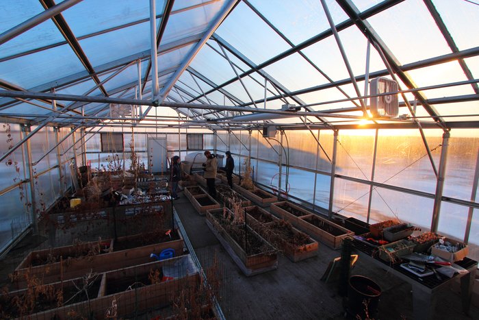 A community greenhouse in the village of Igiugig.