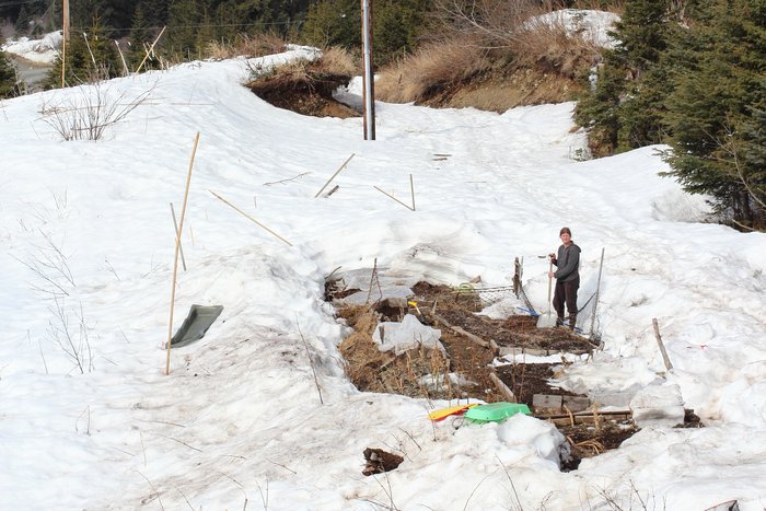 Unwilling to wait for the melt of our record-breaking snow, Erin took to the garden with her shovel