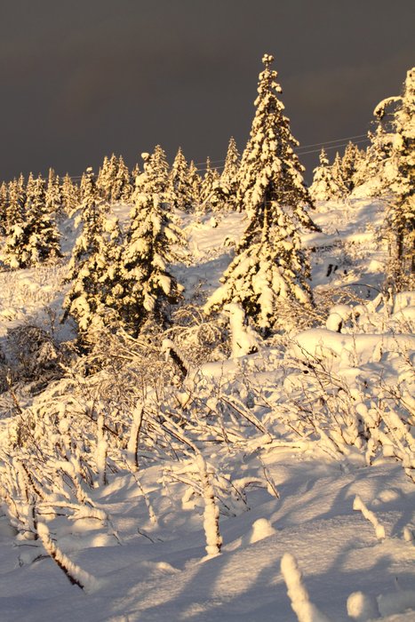 Evening sun paints the mountainside.
