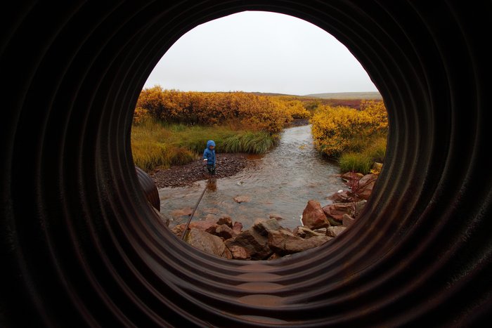 Katmai throws rocks in a stream while I stay dry in a culvert.
