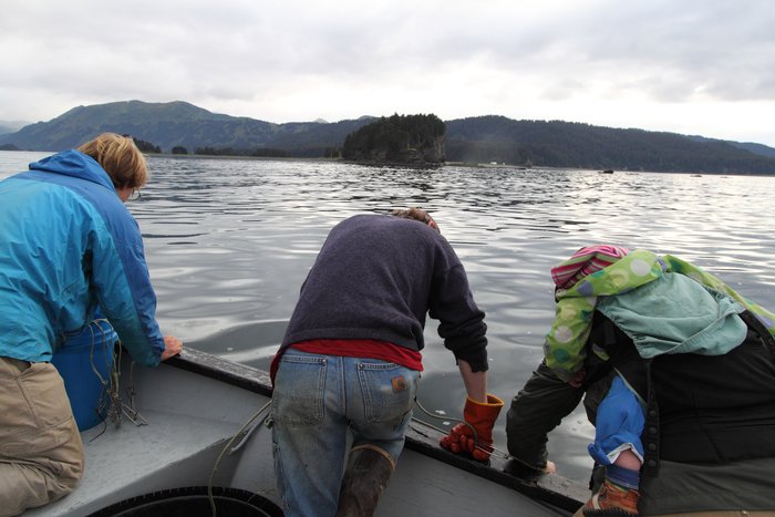 The water was clear, and we looked deep into the shadows past empty hooks to see if anything was coming up.