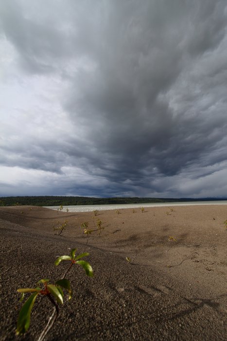 Photos from a 2010 expedition through the area of the proposed Chuitna Coal Mine
