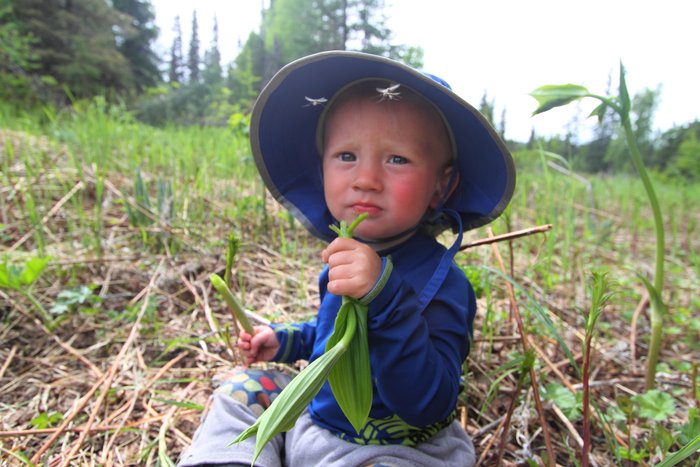 Photos from a 2010 expedition through the area of the proposed Chuitna Coal Mine
