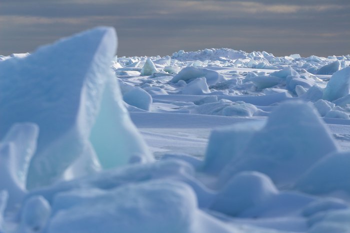 Storms and currents grind the sea ice together, forming jumbled stacks that capture snow drifts.