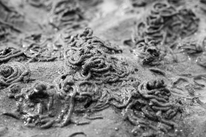 May low tides at Barabara Creek Beach