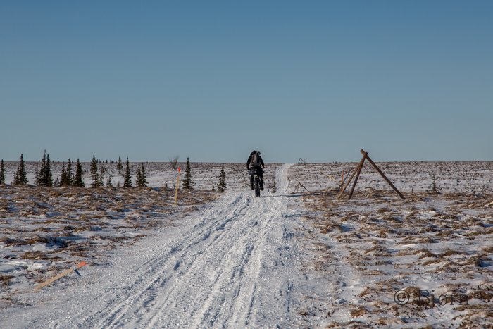 Fat-biking over the Kaltag portage from the Yukon River to Norton Sound.