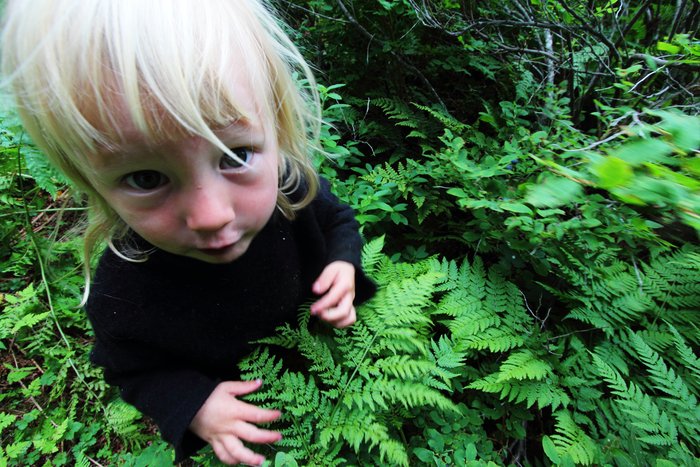 in the woods behind the yurt