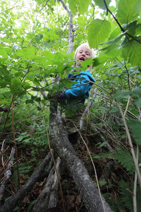 Little explorer playing in the brush