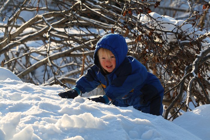 climbing down to retrieve a stick