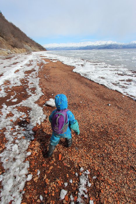 As we head to Kachemak Selo, Katmai leads down the beach.