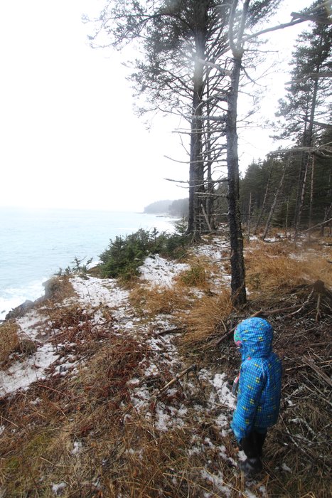 Katmai looks out over the ocean near Point Bede