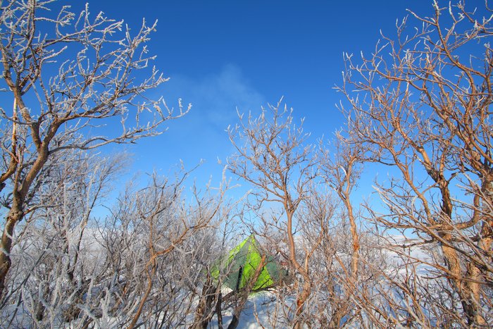 Even in the snow, we use a floorless shelter, sleeping on a thin sheet of foam with inflatable pads on top.
