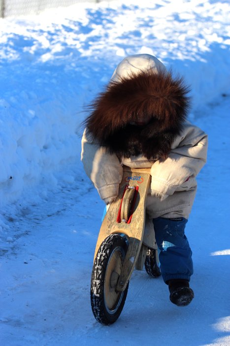 Around Seldovia, the road proves easier than the backcountry for a short-legged traveler.  January 2012.