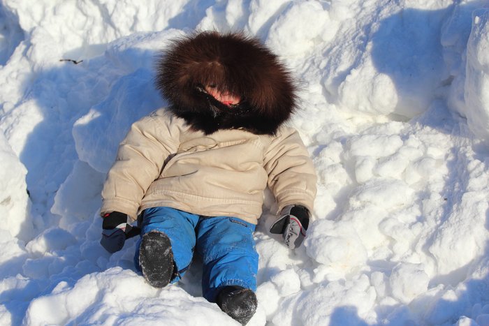 Around Seldovia, the road proves easier than the backcountry for a short-legged traveler.  January 2012.