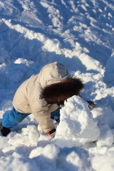 Around Seldovia, the road proves easier than the backcountry for a short-legged traveler.  January 2012.