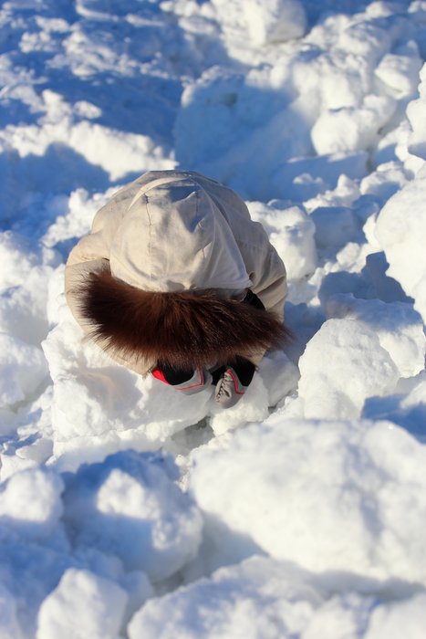 Around Seldovia, the road proves easier than the backcountry for a short-legged traveler.  January 2012.