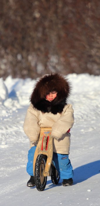 Around Seldovia, the road proves easier than the backcountry for a short-legged traveler.  January 2012.