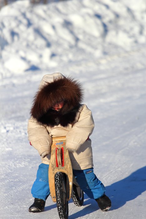 Around Seldovia, the road proves easier than the backcountry for a short-legged traveler.  January 2012.