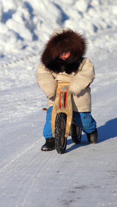 Around Seldovia, the road proves easier than the backcountry for a short-legged traveler.  January 2012.