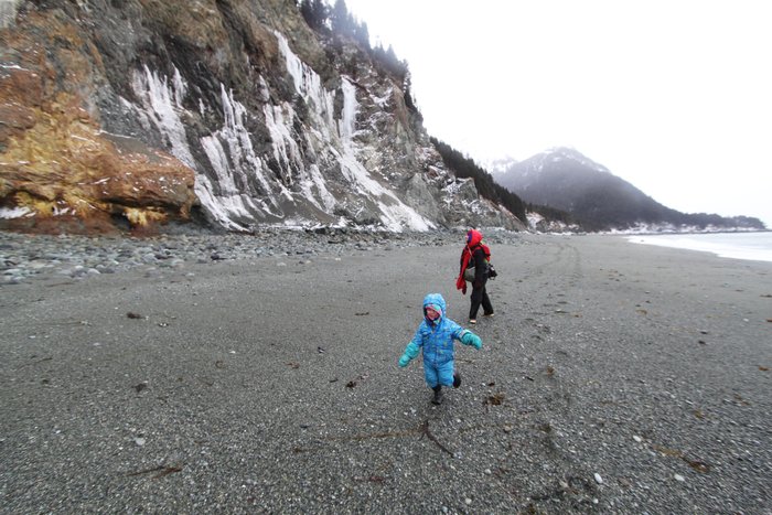 Katmai runs ahead with great enthusiasm, at the beginning of our journey around Cook Inlet