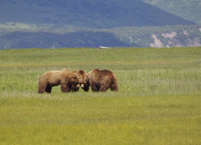 A meeting of the minds