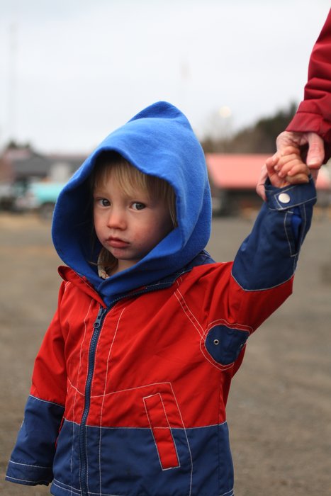 Katmai strolls through town, April 2011