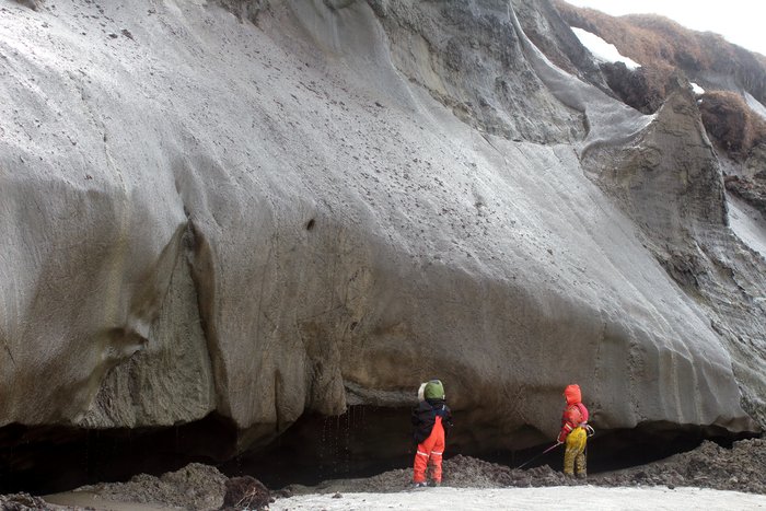 Lituya and Katmai get to play with some nice mud - aged for millennia in permafrost.
