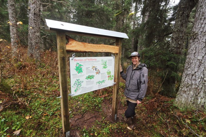 Edible berries are a big part of subsistence near Seldovia, Alaska, and Kim McNett's illustrations on this sign provide a quick intro for newcomers.