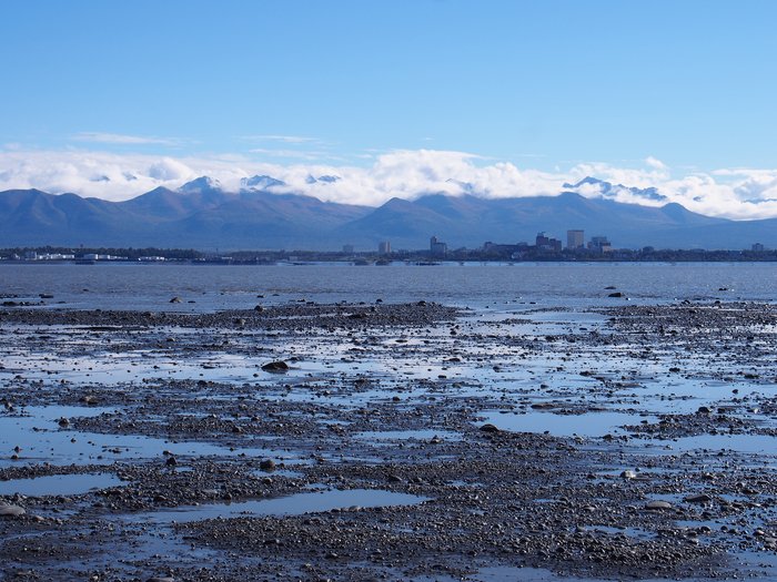 Knik Arm tidal flats