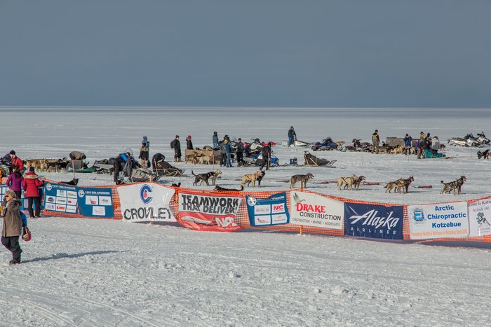 The Kobuk 440 sled dog race is the last race of the season in Alaska due to its far north location. 