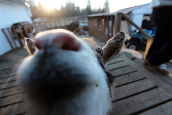 One of many friends we made along the way