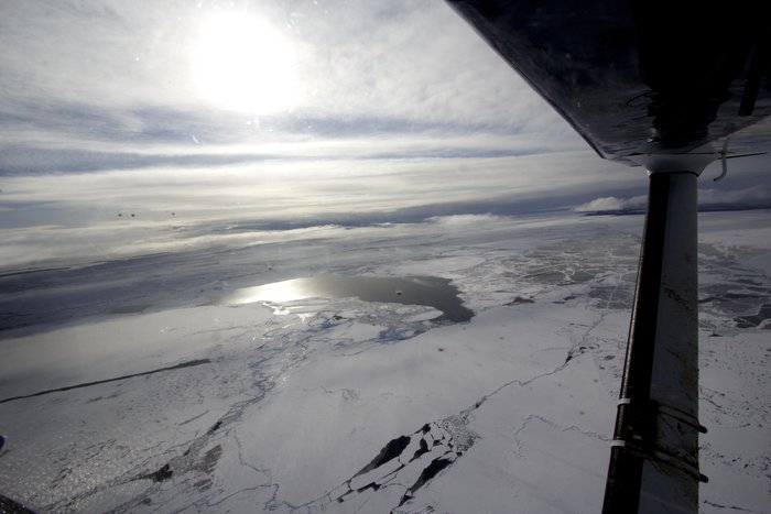 Northeast end of Lake Iliamna in March