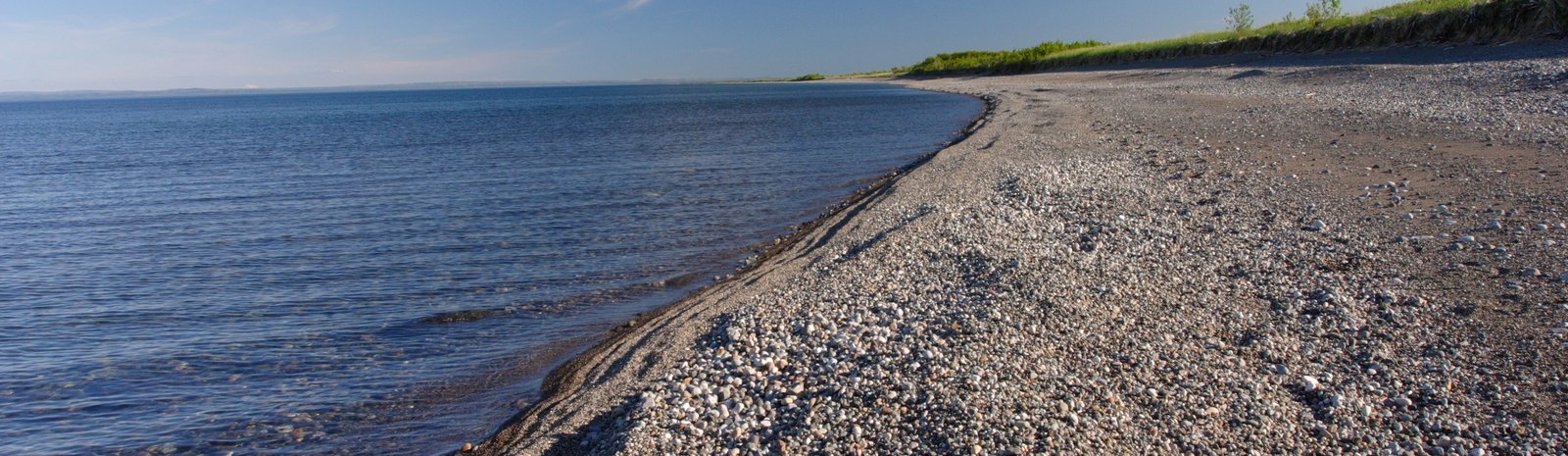 Fault Hunt 2010: Terrace Deformation